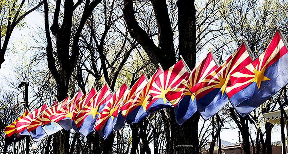 A row of Arizona flags displayed among the trees