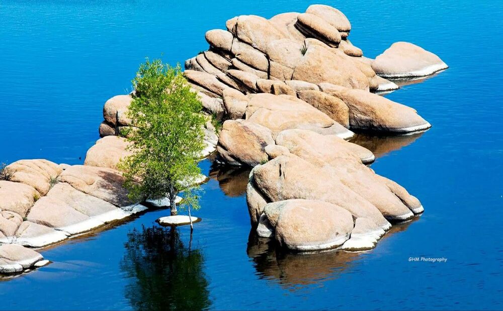 A small green tree surrounded by pale rock formations in vivid blue water